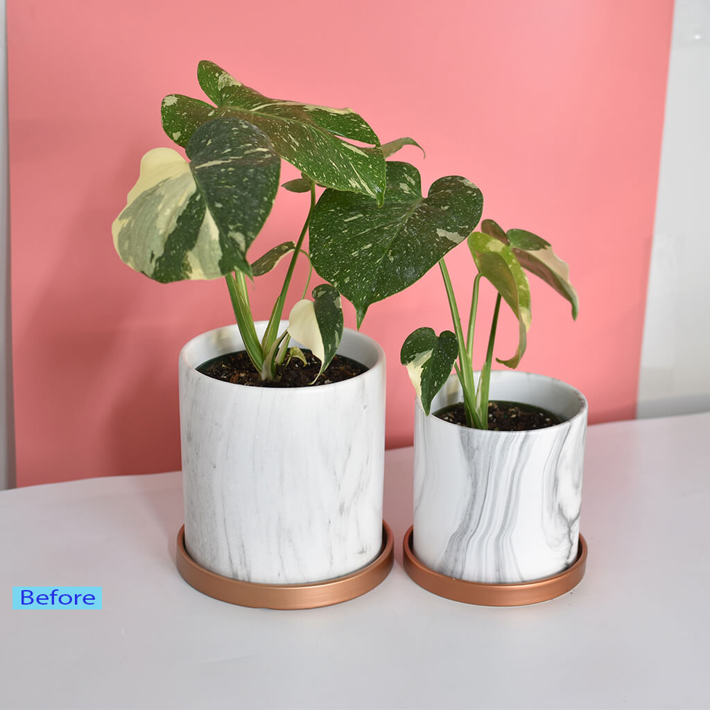 Medium Clipping Path Service Before Image (PhotoClippService) Medium Clipping Path Service Before Image (PhotoClippService)